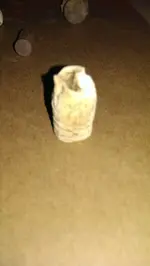 IMAG1357.webp