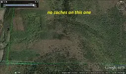 hill1.webp