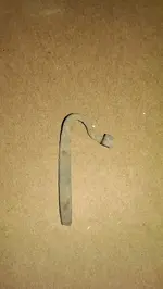 IMAG1351.webp