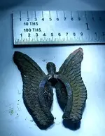 Horseshoe wings cropped.webp