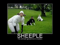 sheeple-1b.jpg
