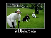 sheeple-1b.webp