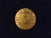 medium coin.webp