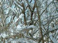DSCF0003.webp