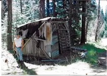 cabin.webp