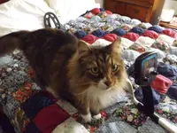 DSCF1726.webp