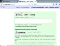 Untitled.webp