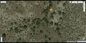 FireShot Screen Capture #004 -Red Fox 4.png