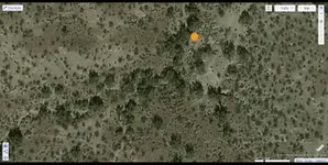 FireShot Screen Capture #004 -Red Fox 4.webp