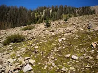 010-Barton.webp