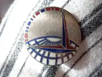 pin.webp