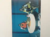ImageUploadedByTreasureNet.com1427457620.467028.webp