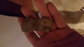 20150322_181659.webp