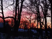 001.webp