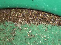 ImageUploadedByTreasureNet.com1424844180.111804.webp