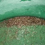 ImageUploadedByTreasureNet.com1424844233.102249.webp