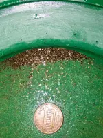 ImageUploadedByTreasureNet.com1424844280.989984.webp