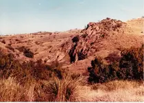 AZ.webp