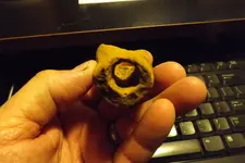 artifact nots 005.webp