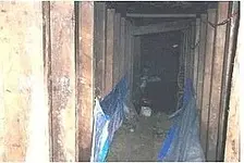 5.webp