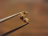 gold 2-15-12 (7).webp