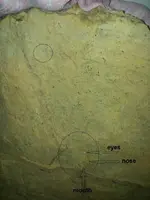 11079386_855760331149989_601151220_n.webp