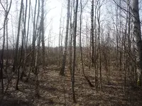 P1090034.webp