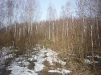 P1090035.webp