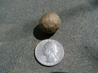 musket ball.webp
