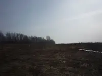 P1090038.webp