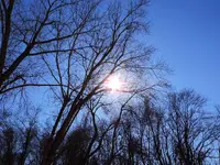 K1600_002.webp