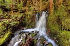 003FJGVH.webp