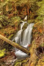 0077_7_7.webp