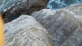 1427962536227.webp