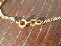 goldnecklace3.webp
