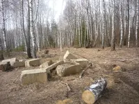 P1090051.webp