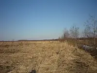 P1100473.webp