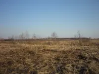 P1100478.webp