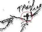 Spot.webp