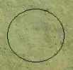 11.webp