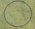 11079386_855760331149989_601151220_n.webp