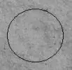 11.webp