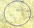 11079386_855760331149989_601151220_n.webp