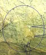 Untitled.webp