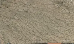zoomed in.webp