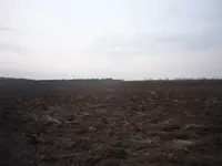 P1090071.webp