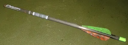 DSCF0016.webp DSCF0016.webp