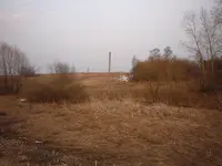 P1090089.webp