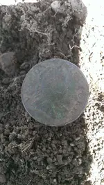 IMAG0091.webp