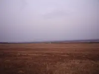 P1090091.webp